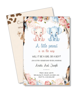 gender reveal invitation peanut themed blue pink elephants flowers cute card design template